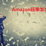 亚马逊年销售超百万大卖数据分析，更好准备Amazon旺季销售计划